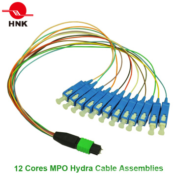 12-24 Kerne MPO Hydra Kabel Patchkabel